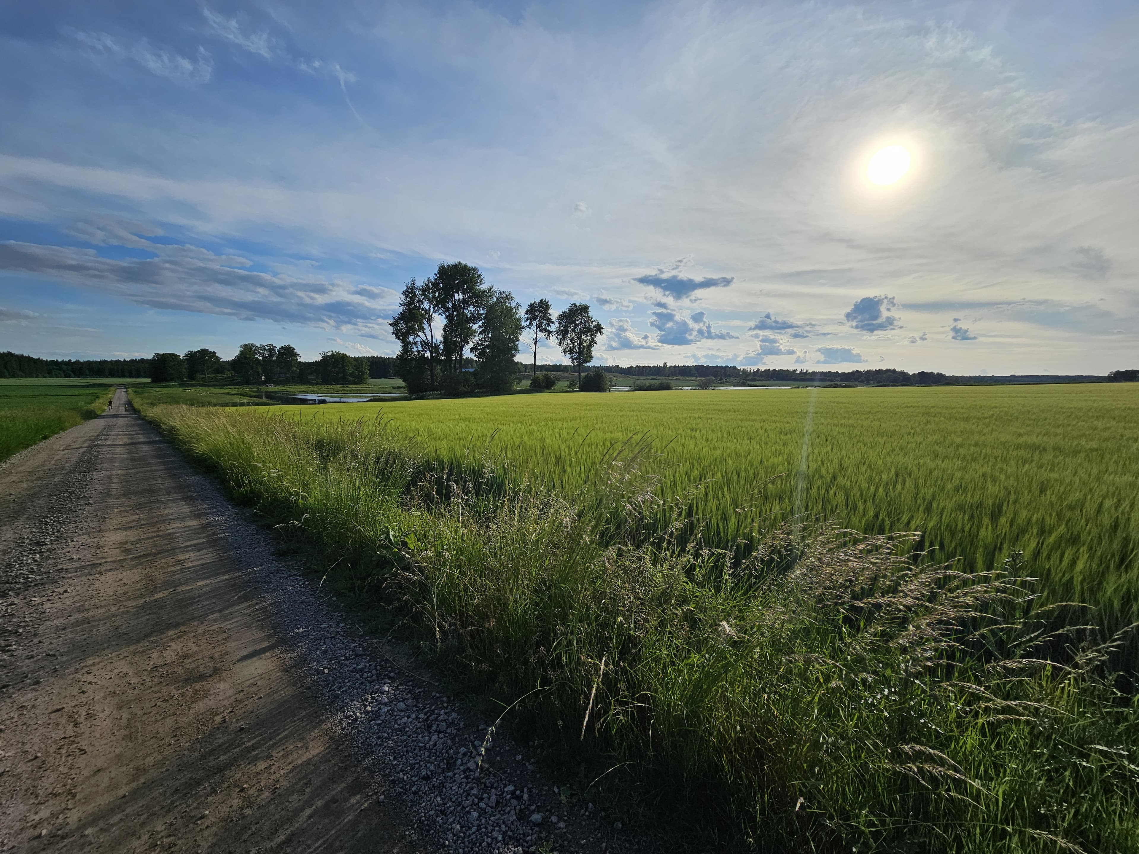 Vacker utsikt från villatomt under avstyckning i Rasbo, Uppsala.