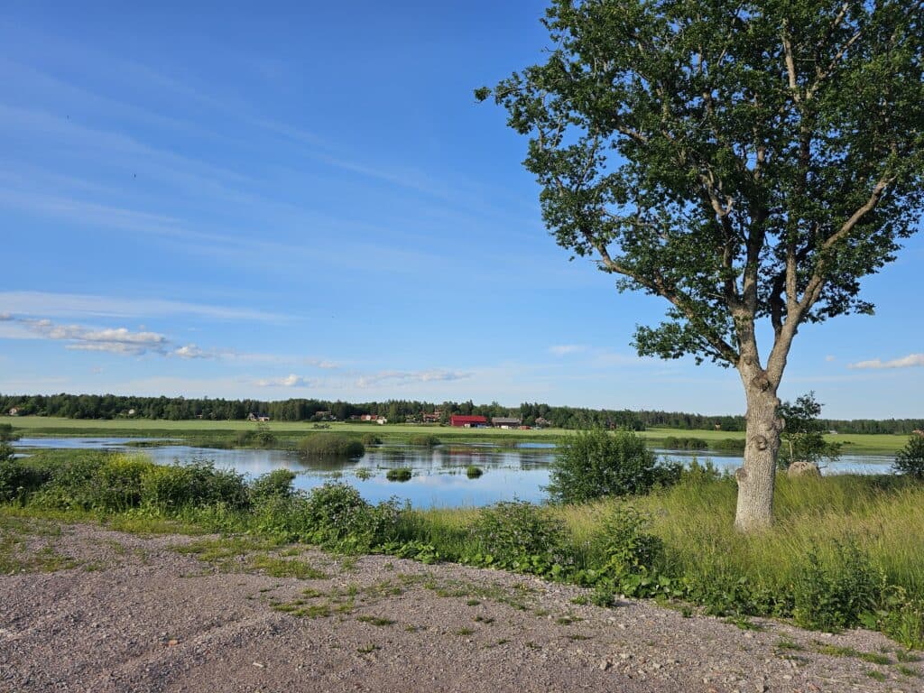 Utsikt från tomt under avstyckning i Yresta/Rasbo, Uppsala. 